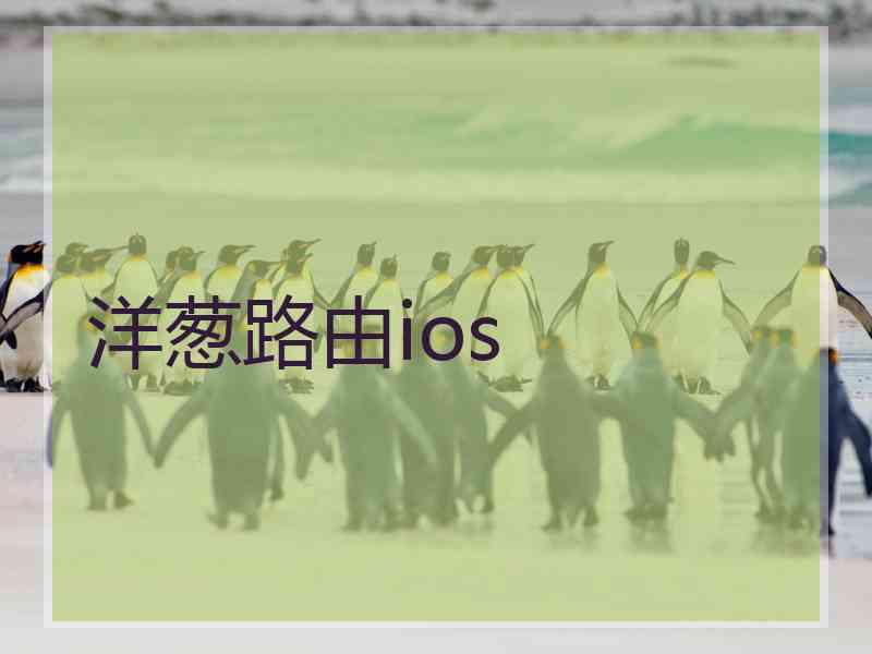 洋葱路由ios