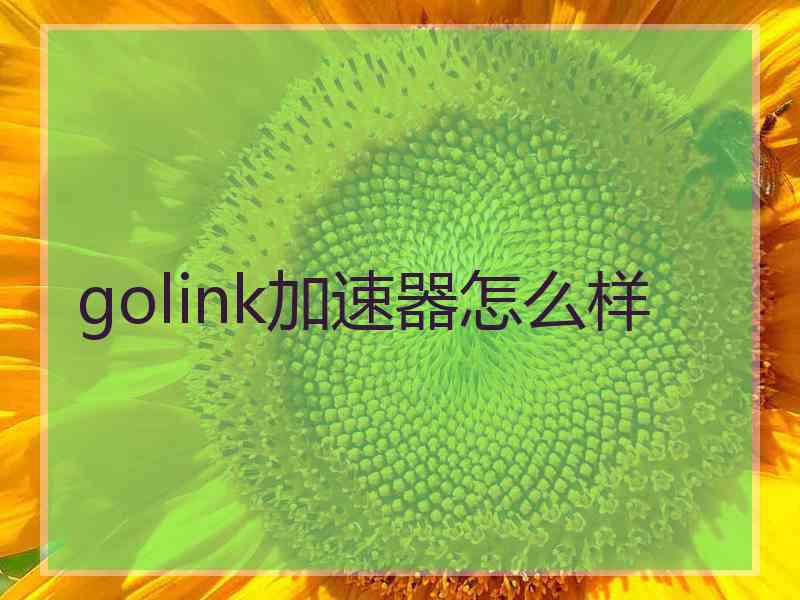 golink加速器怎么样