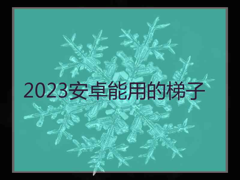 2023安卓能用的梯子