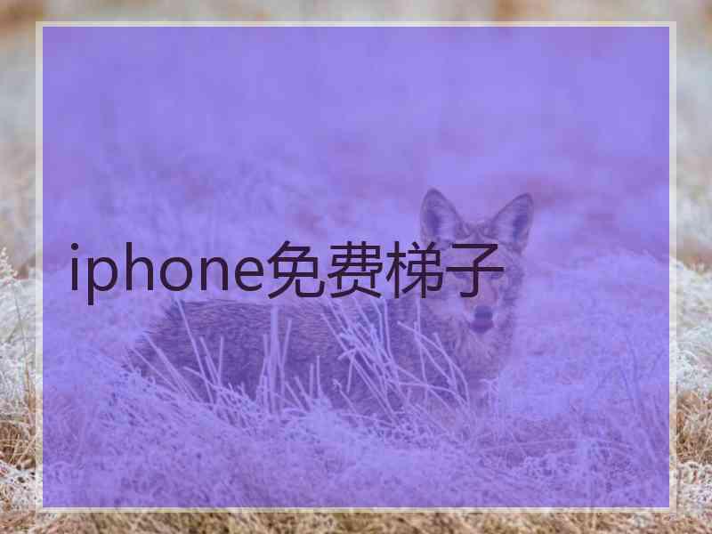 iphone免费梯子