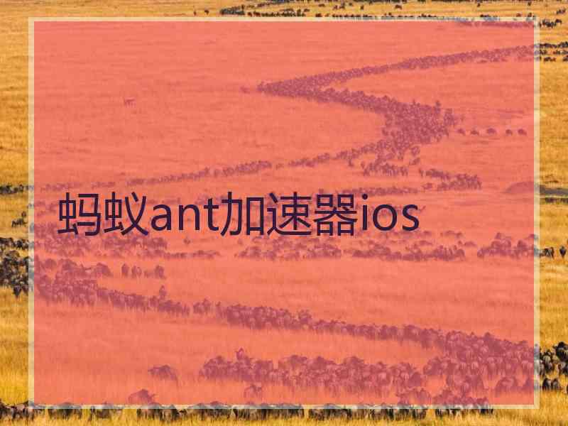 蚂蚁ant加速器ios