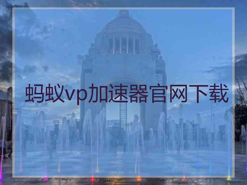 蚂蚁vp加速器官网下载