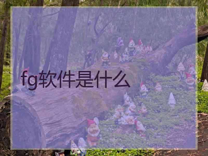 fg软件是什么